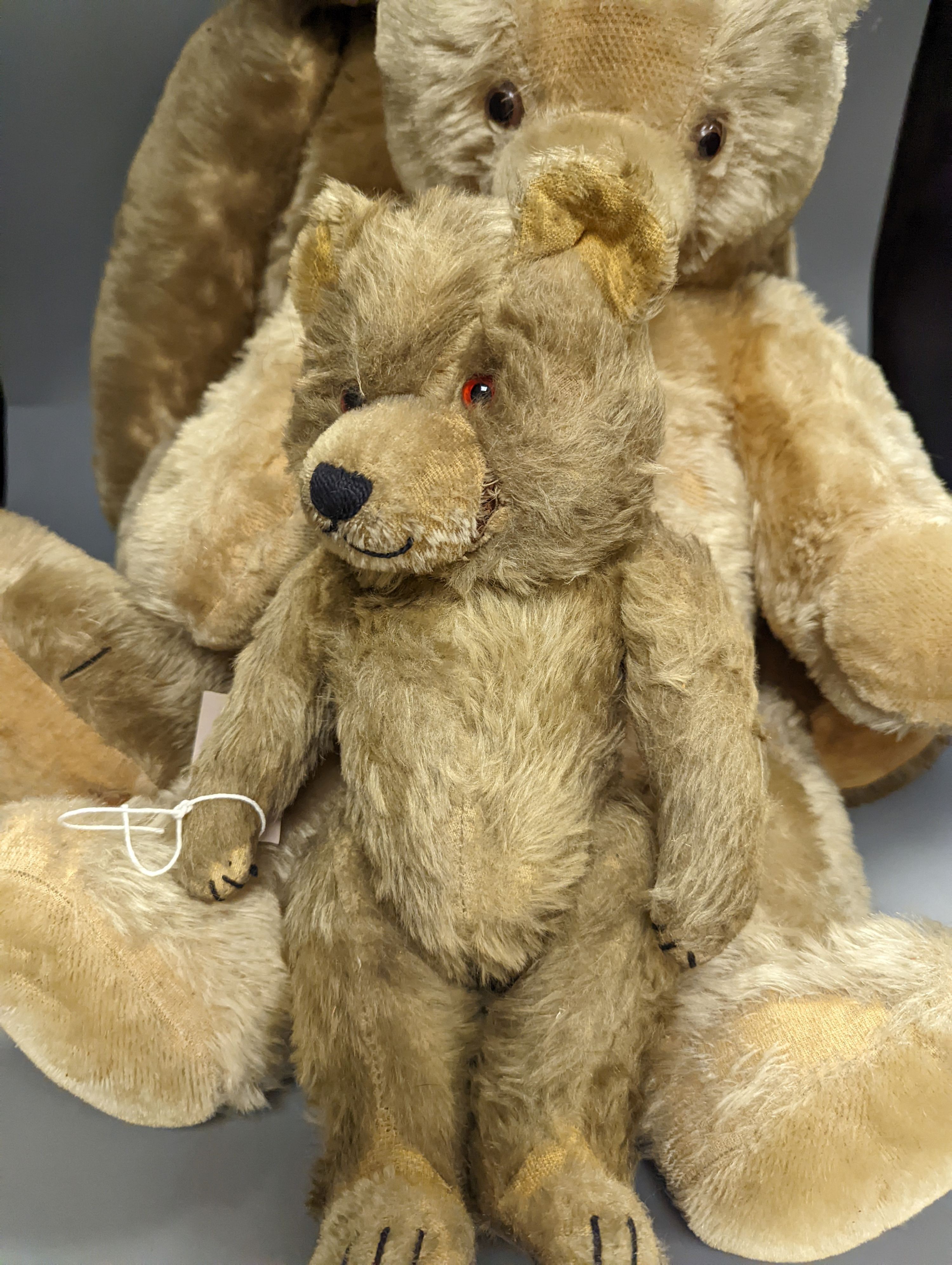 A large English teddy bear and two other teddy bears